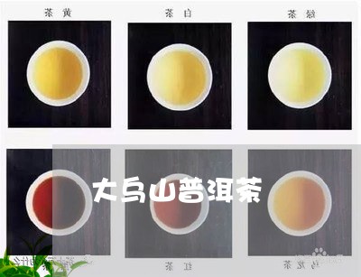 大乌山普洱茶/2023042814790