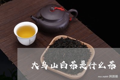 大乌山白茶是什么茶/2023121809470