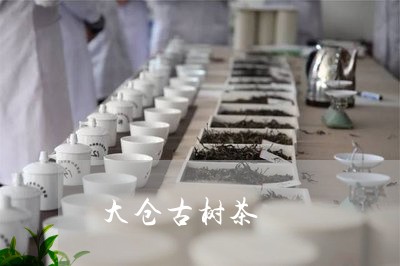 大仓古树茶/2023041825715