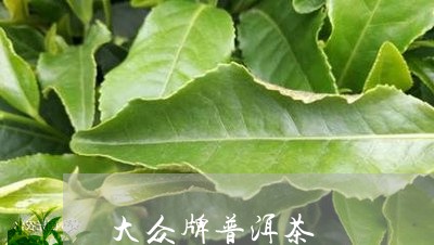 大众牌普洱茶/2023042862920