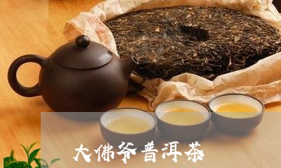 大佛爷普洱茶/2023042707792