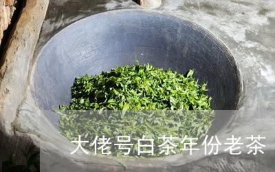 大佬号白茶年份老茶/2023071697705