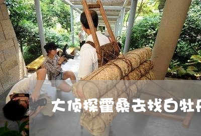 大侦探霍桑去找白牡丹/2023120985079