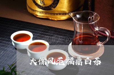 大儒风范福鼎白茶/2023061697050