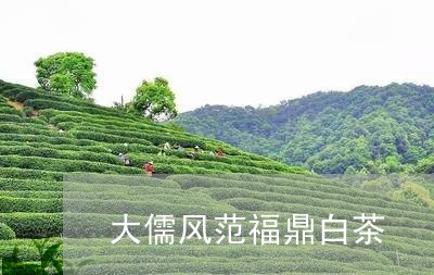 大儒风范福鼎白茶/2023112655826