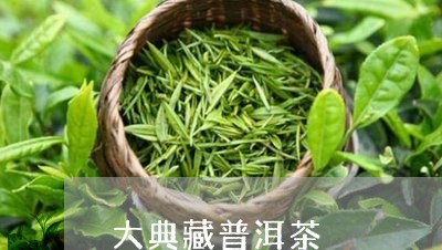 大典藏普洱茶/2023042702313