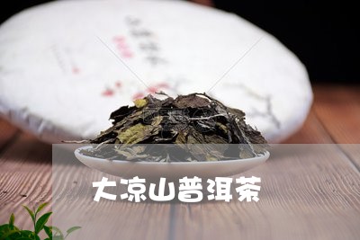 大凉山普洱茶/2023042794843