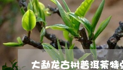 大勐龙古树普洱茶特点/2023092884949