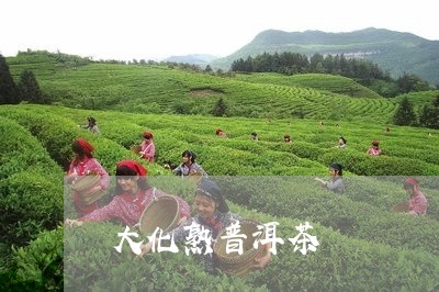 大化熟普洱茶/2023042702950