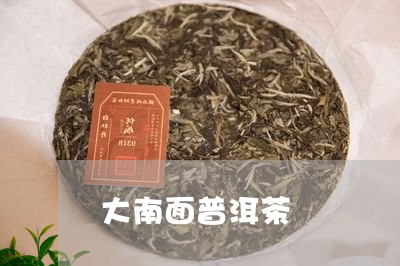 大南面普洱茶/2023042891680