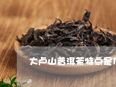 大卢山普洱茶特点是什么/2023082965168