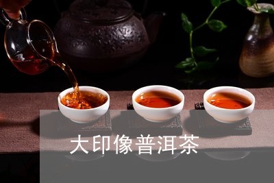 大印像普洱茶/2023042622395