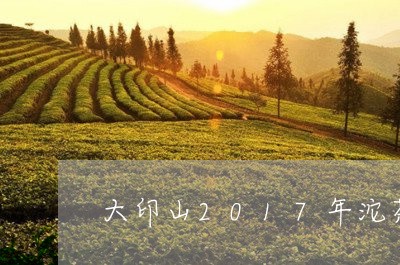 大印山2017年沱茶/2023071573706