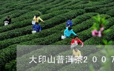 大印山普洱茶2007/2023062839381