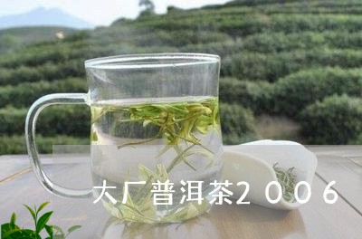 大厂普洱茶2006/2023120517050