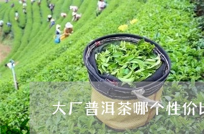 大厂普洱茶哪个性价比/2023100605015