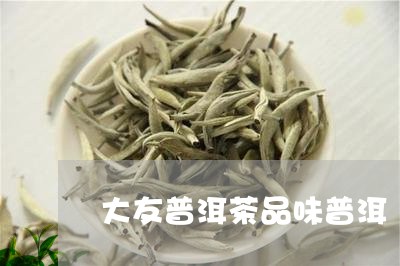 大友普洱茶品味普洱/2023070970484