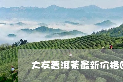 大友普洱茶最新价格图片/2023112741938