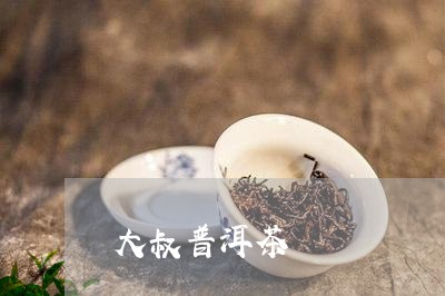 大叔普洱茶/2023090582793