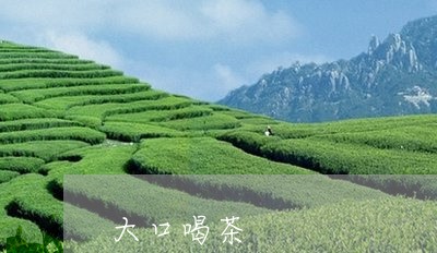 大口喝茶/2023121952717