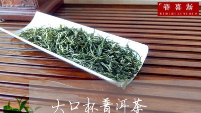 大口杯普洱茶/2023042606774