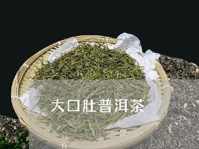 大口肚普洱茶/2023042845160