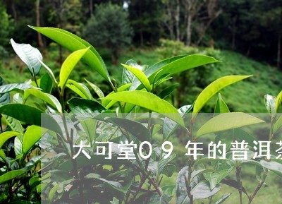 大可堂09年的普洱茶/2023062371793