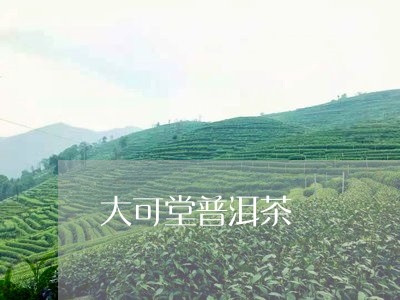 大可堂普洱茶/2023042980761