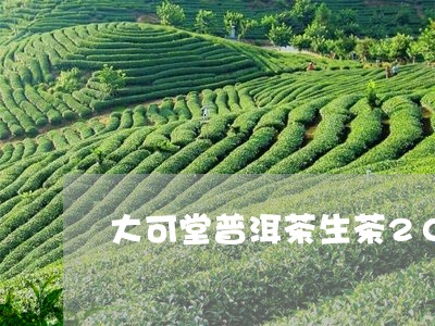 大可堂普洱茶生茶2007年价格/2023082954837