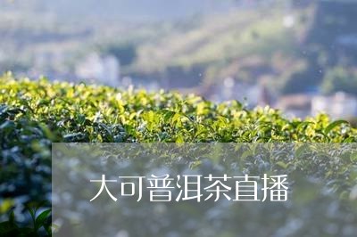 大可普洱茶直播/2023081569472