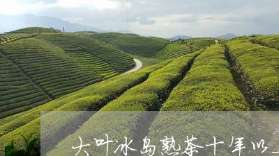 大叶冰岛熟茶十年以上/2023061235139