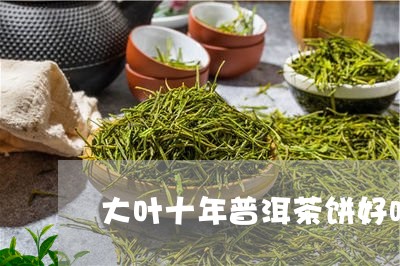 大叶十年普洱茶饼好吗/2023061470570