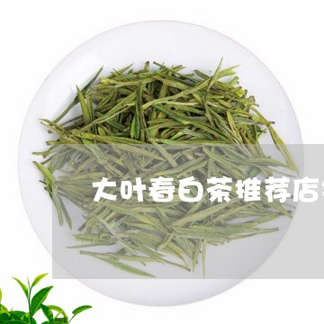 大叶春白茶推荐店铺/2023071615126