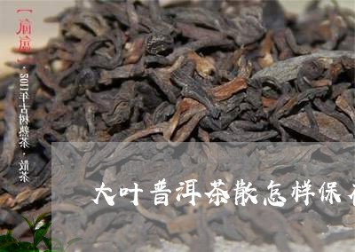 大叶普洱茶散怎样保存/2023073166948