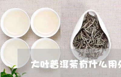 大叶普洱茶有什么用处/2023072228483