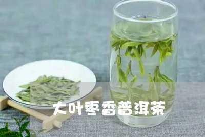 大叶枣香普洱茶/2023081897606