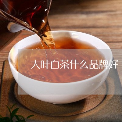 大叶白茶什么品牌好/2023071633836