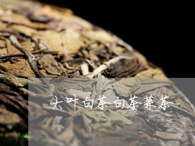 大叶白茶白茶菜茶/2023061631614