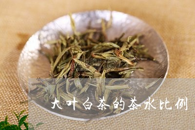 大叶白茶的茶水比例/2023121805046