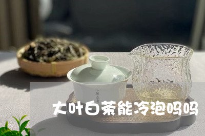 大叶白茶能冷泡吗吗/2023071620525