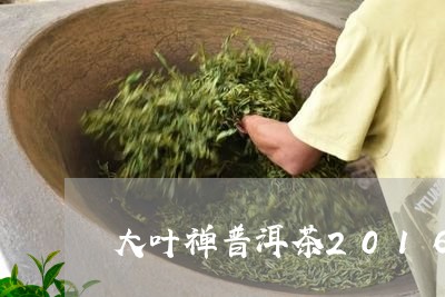 大叶禅普洱茶2016/2023100898369