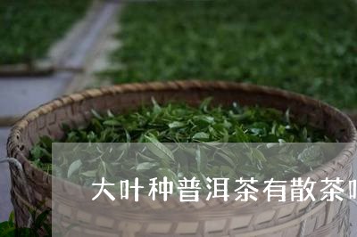 大叶种普洱茶有散茶吗/2023062248571