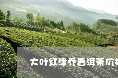 大叶红津乔普洱茶价格/2023072122703