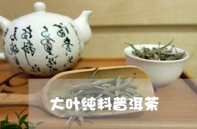 大叶纯料普洱茶/2023102641705