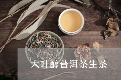 大叶醇普洱茶生茶/2023080333157