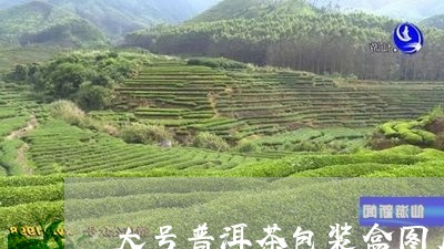 大号普洱茶包装盒图片高清/2023112519494