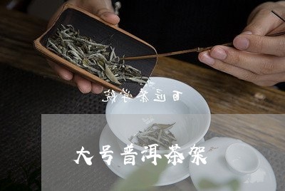 大号普洱茶架/2023042989736