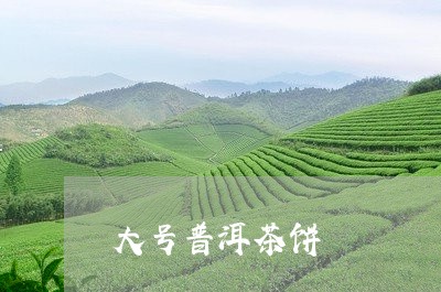 大号普洱茶饼/2023042796031