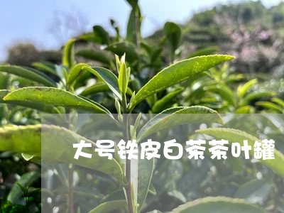 大号铁皮白茶茶叶罐/2023081437269