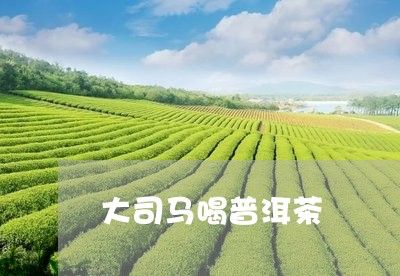 大司马喝普洱茶/2023112618373